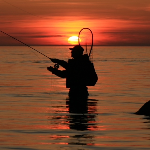 Fly Fishing