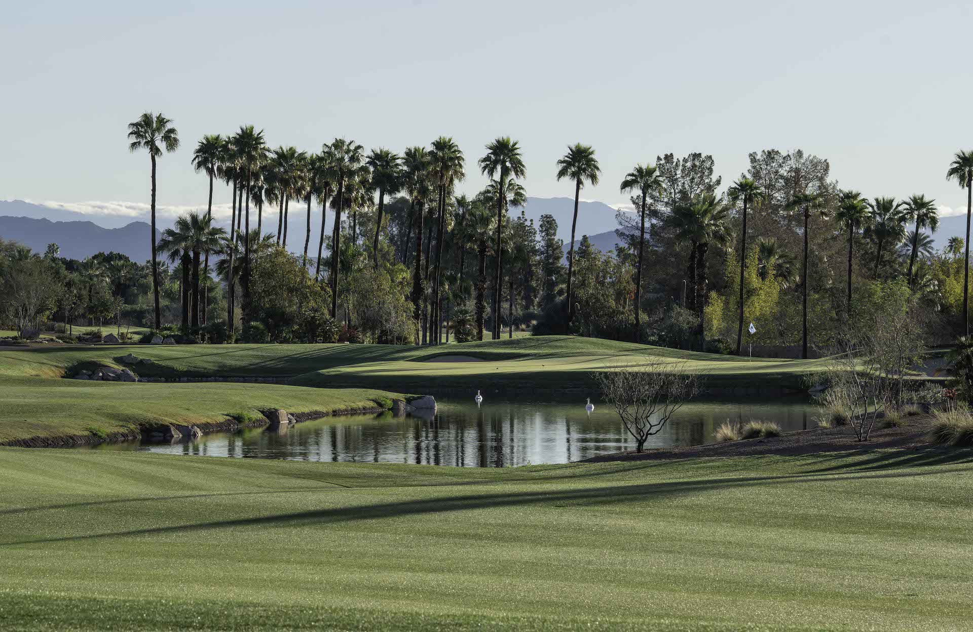 Photo of Ascent at The Phoenician.