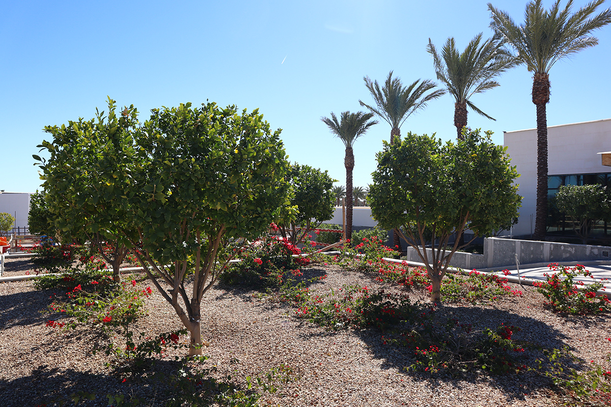 Photo of the Ritz-Carlton, Paradise Valley.