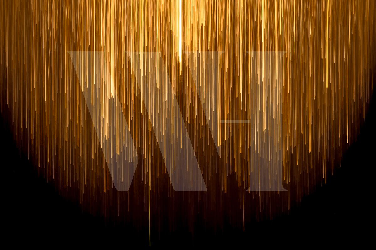 The Golden Standard Of Working With Williams Luxury Homes