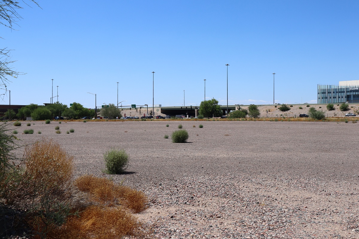 Photo of the land Optima McDowell Mountain Village is to be built on.