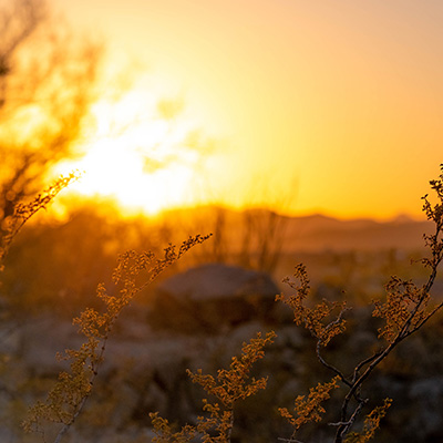 Did you miss these 10 informative July Posts
