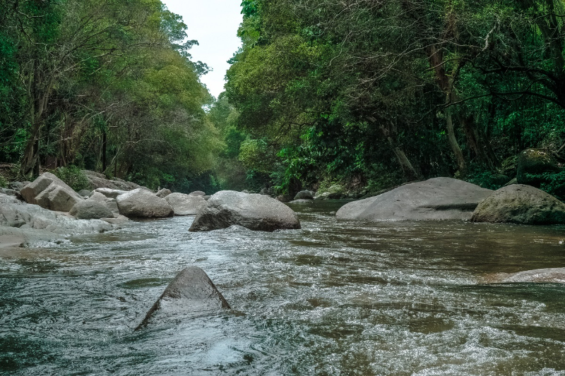 Fly Fishing