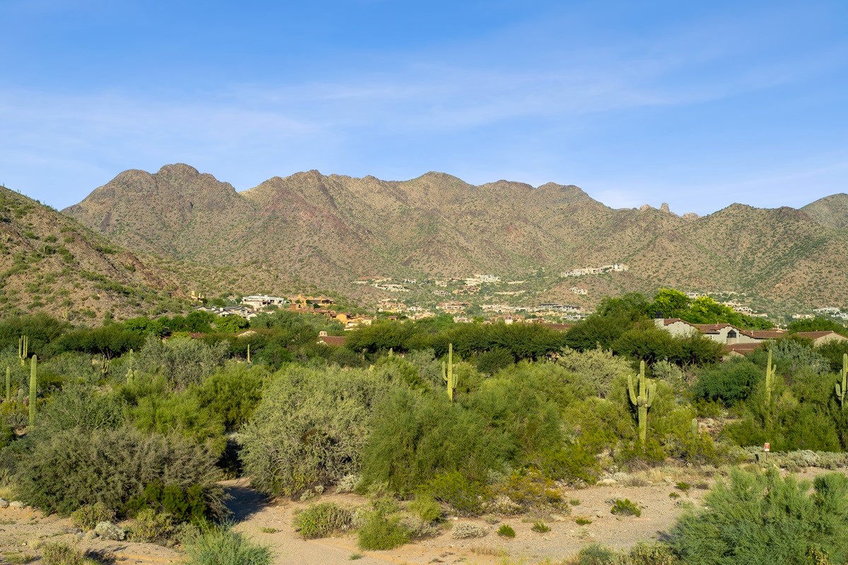 View of desert landscape and luxury estates in Silverleaf, set against the McDowell Mountains.