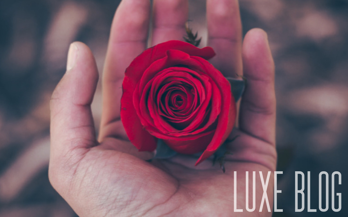 Rose on Hand