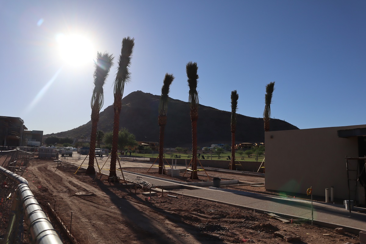 Photo of Ascent at The Phoenician.