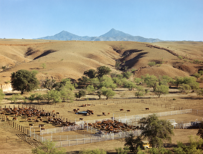 Equestrian & Horse Ranch