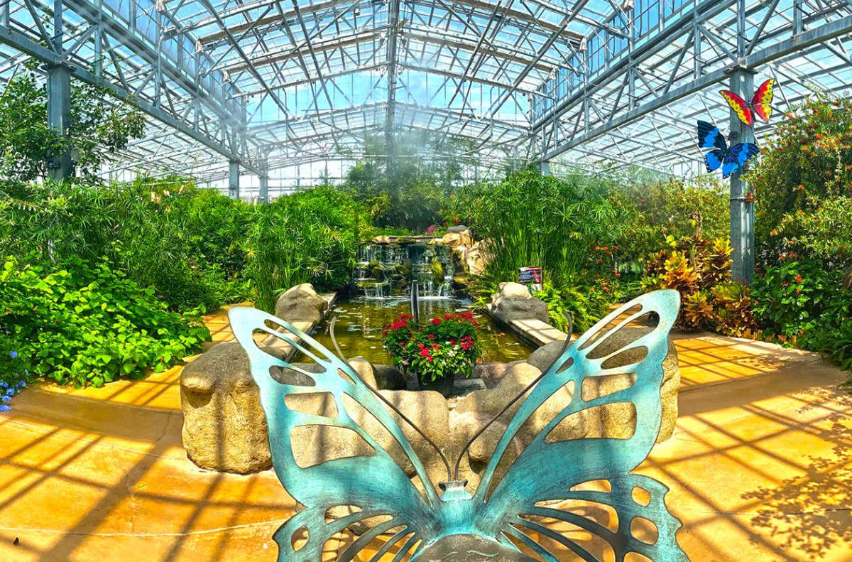 Butterfly Wonderland in Scottsdale, Arizona.