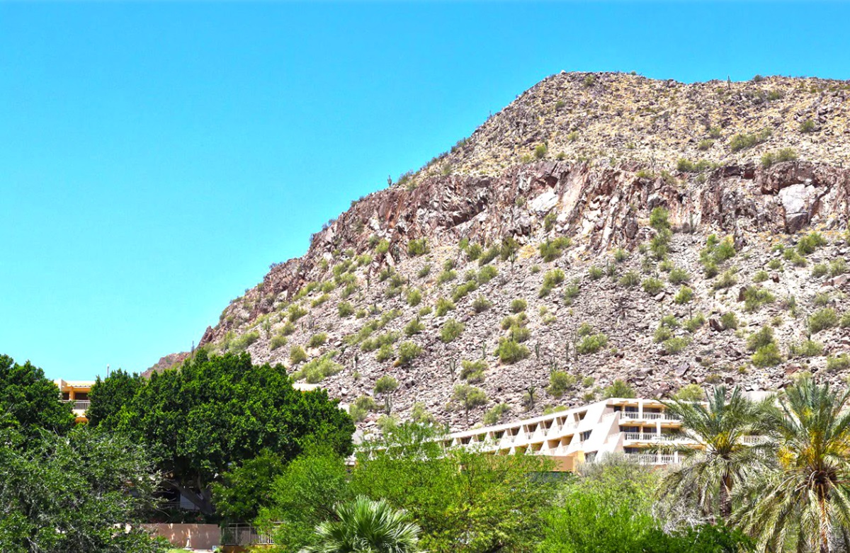 The Phoenician