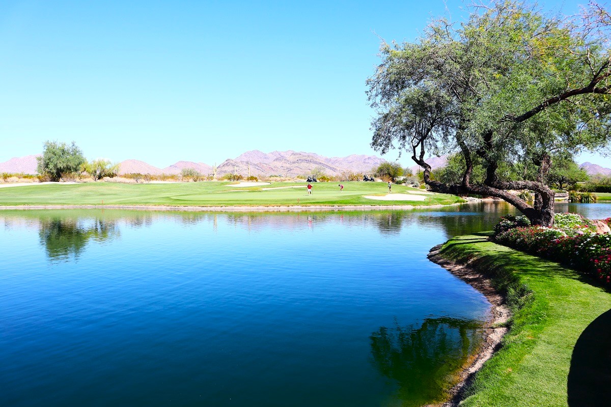 Grayhawk