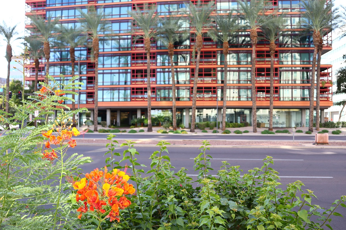 Optima Biltmore Towers