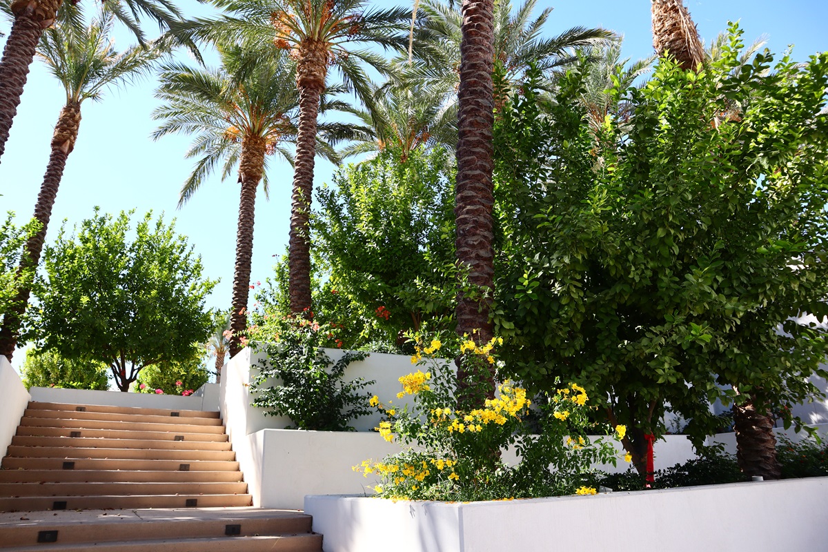 The Ritz-Carlton, Paradise Valley.