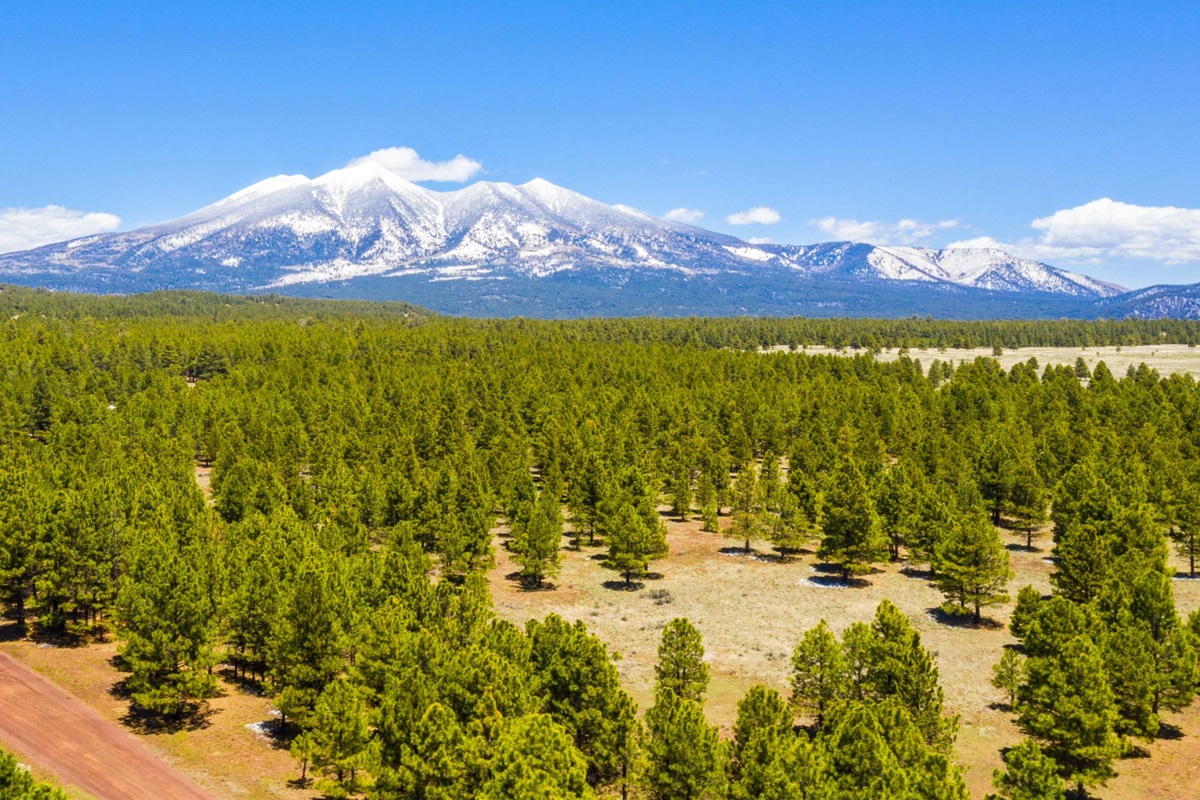 Snow-capped San Francisco Peaks in Flagstaff, Arizona.