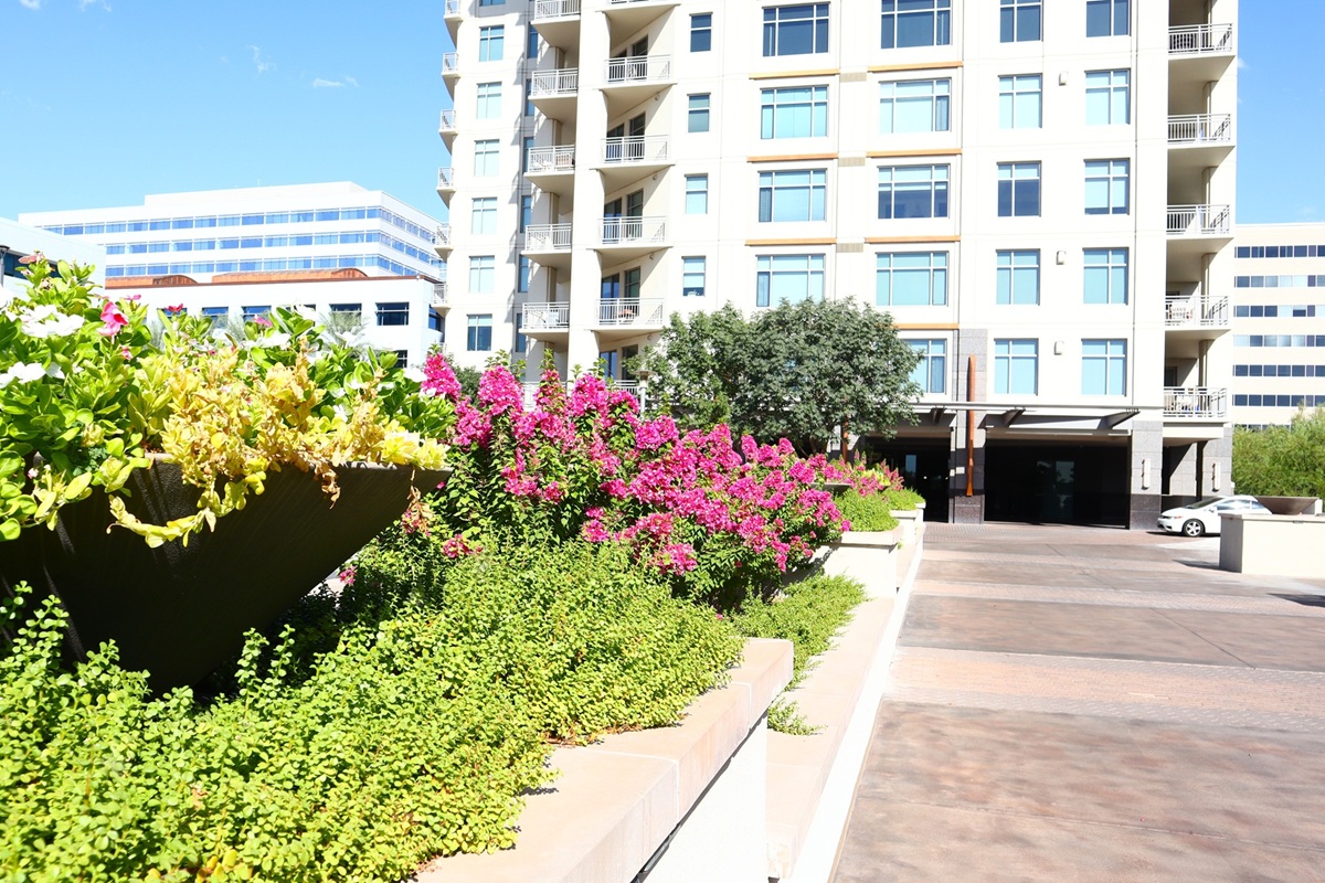 Residences At 2211