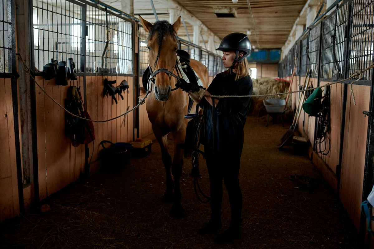 A woman preparing a horse with reins in a stable.