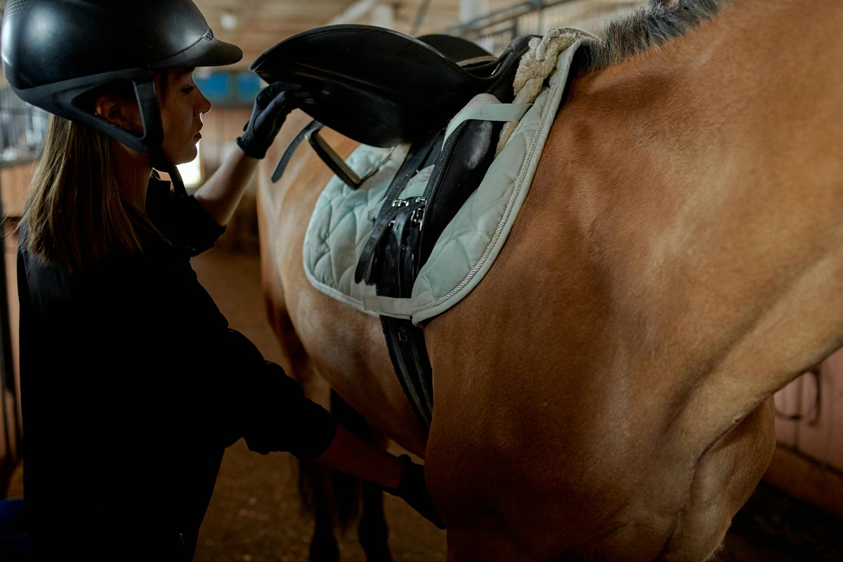 A woman securing a saddle on a horse in a stable.