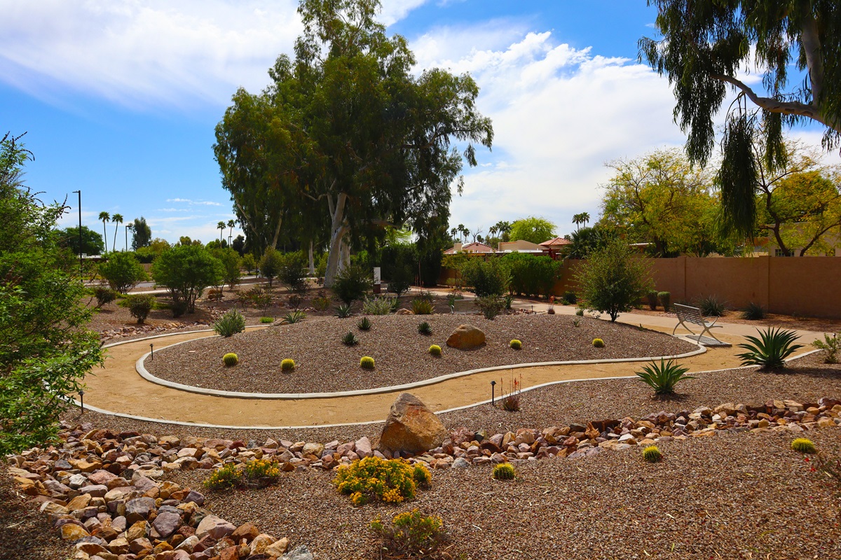 A landscaped area featuring xeriscaping, desert flora, and walking paths, highlighting Scottsdale’s blend of natural beauty and eco-conscious design.