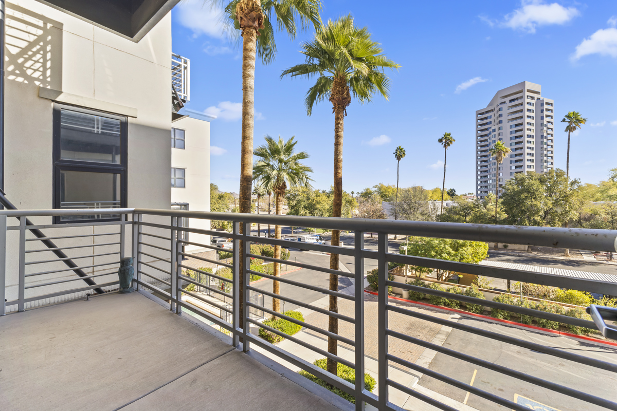 Balcony view with palm trees and city skyline in Midtown Phoenix.