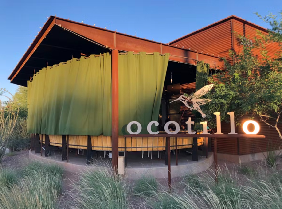Photo of Ocotillo in Midtwon Phoenix.
