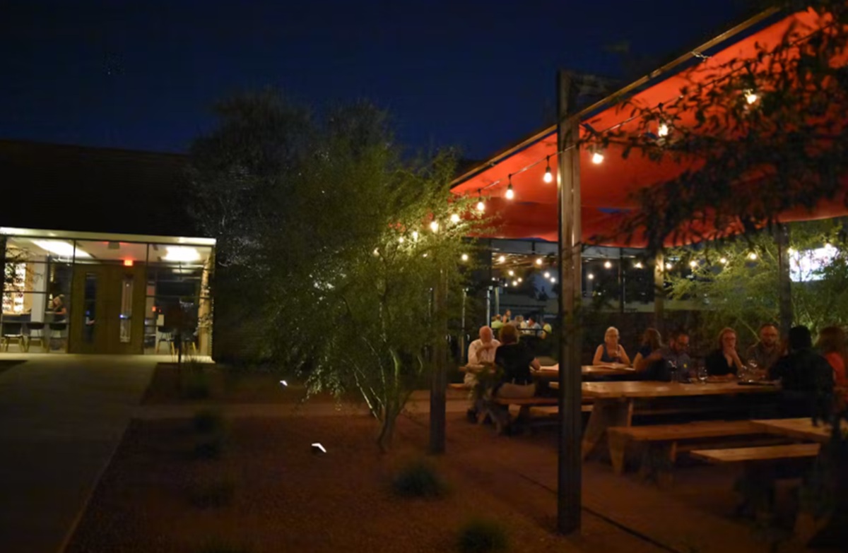 Photo of Ocotillo in Midtwon Phoenix.