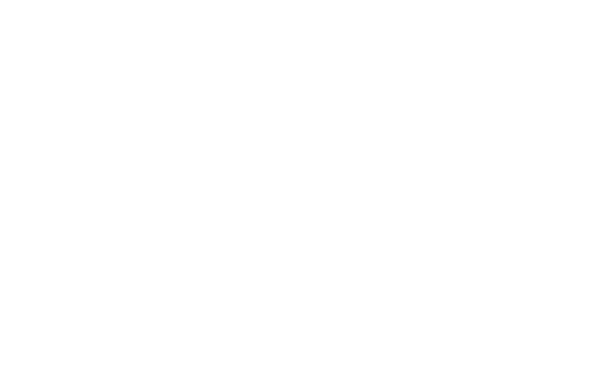Williams Luxury Homes Logo