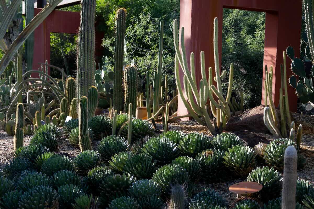desert botanical garden