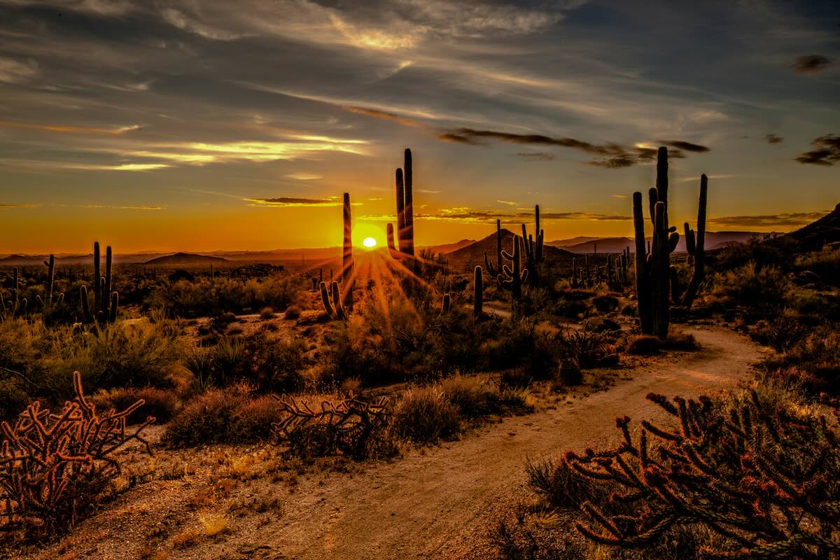 Scottsdale at Sunset