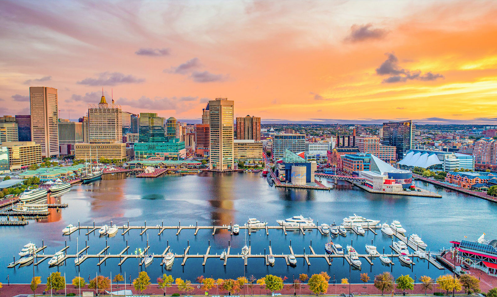 Baltimore Featured Image