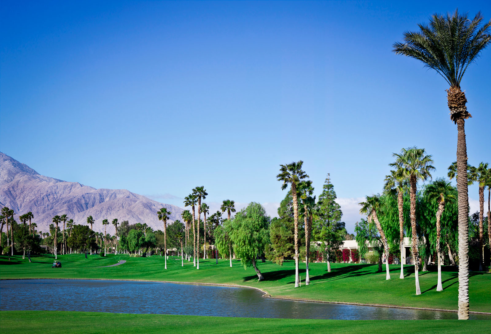 Bel Air Featured Image