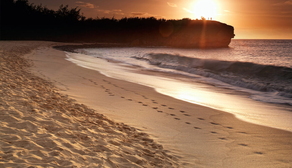 Shipwreck’s Beach