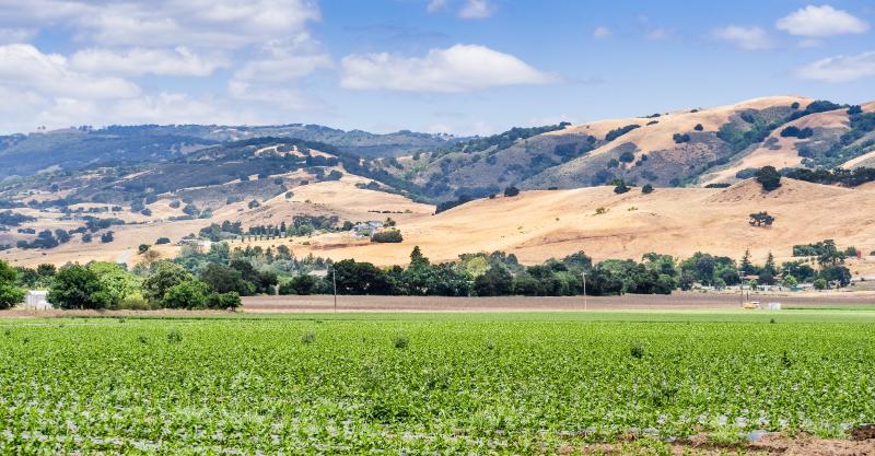 Gilroy