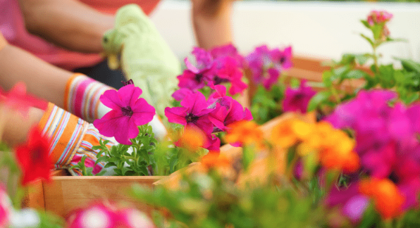 Spring Market 2025