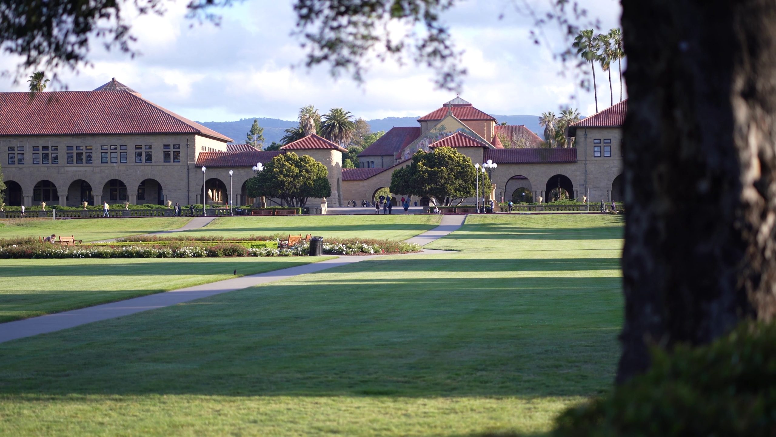 video image placeholder