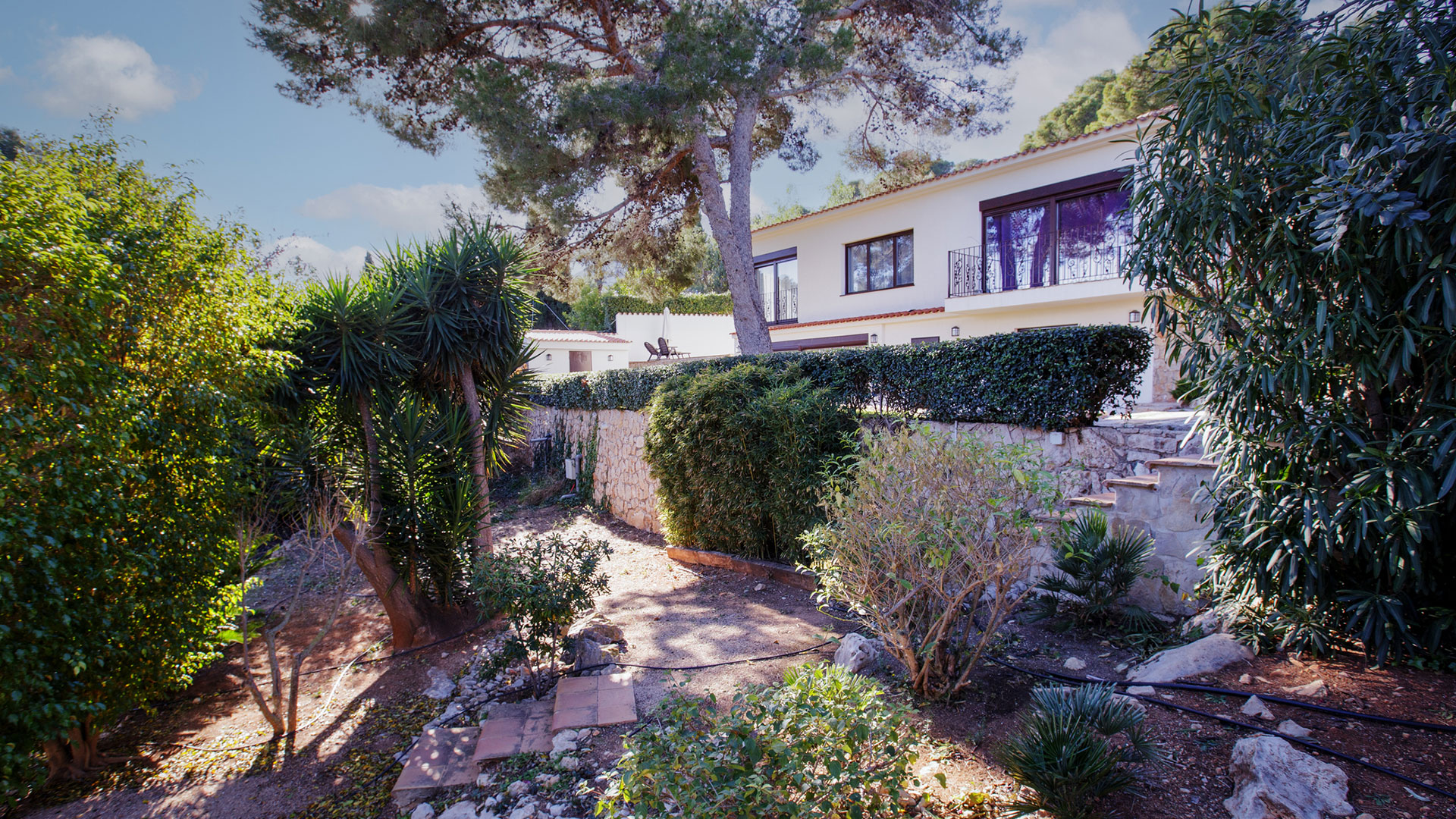 The Old Palo Alto