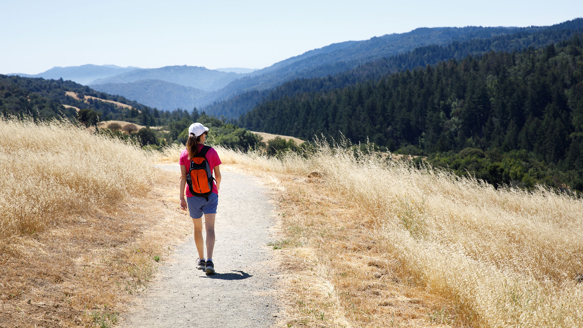 Hiking