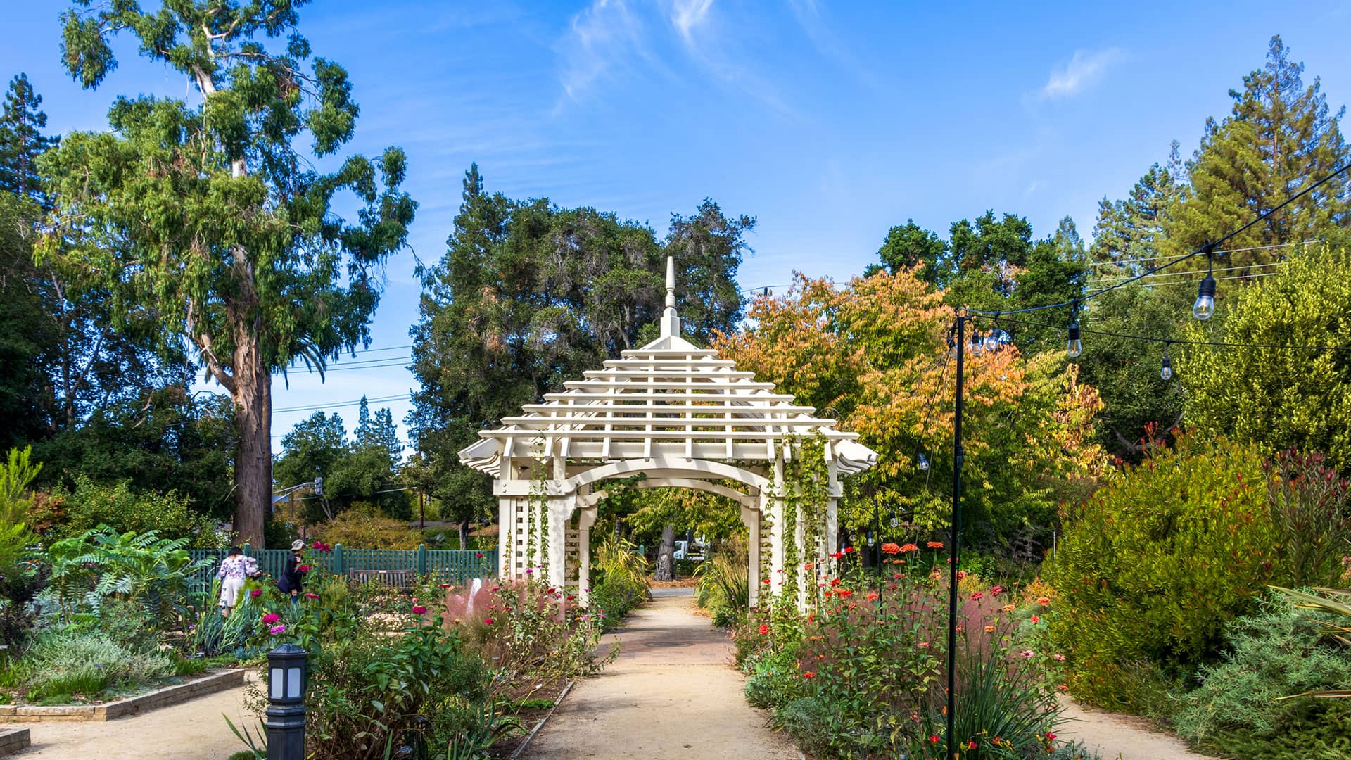 Featured Communites - Old Palo Alto in Palo Alto, CA