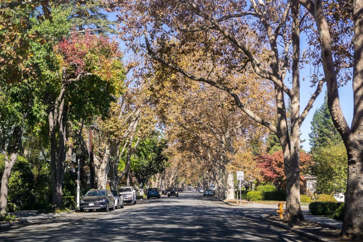 Featured Communites - Crescent Park in Palo Alto, CA