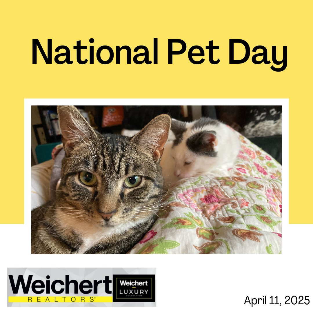 National Pet Day