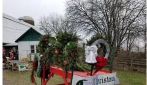 Local Christmas Tree Farms