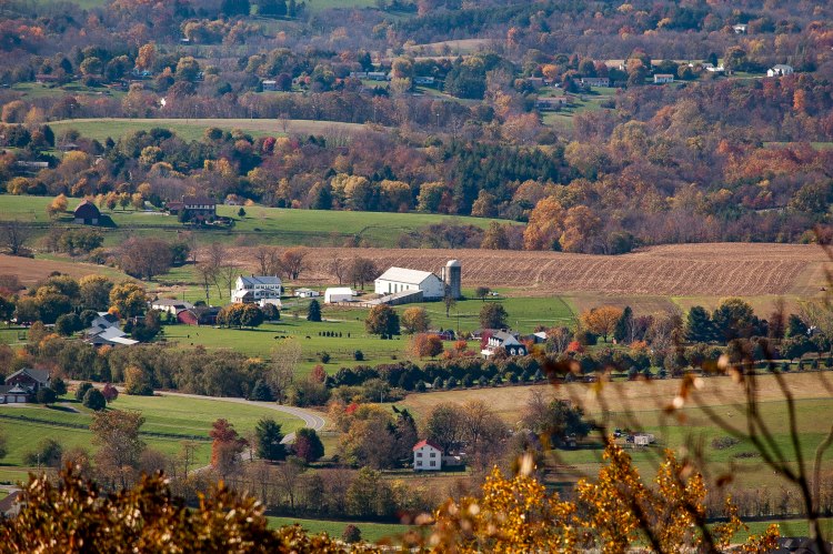 Carroll County MD
