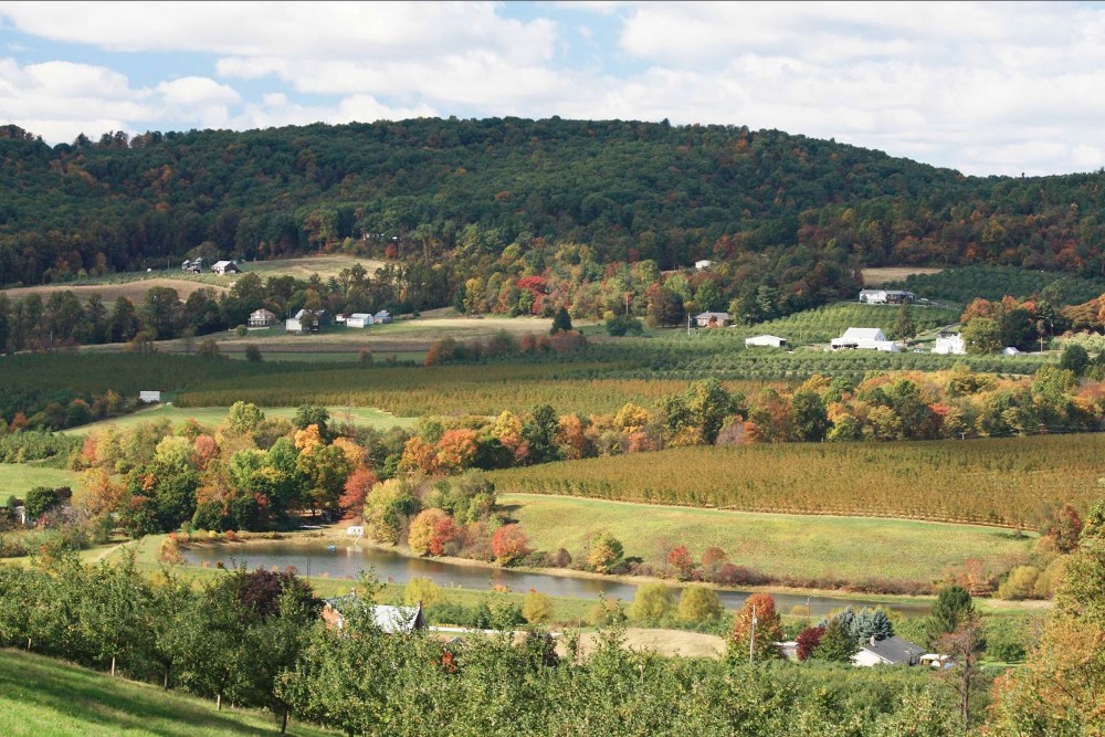 Adams County PA