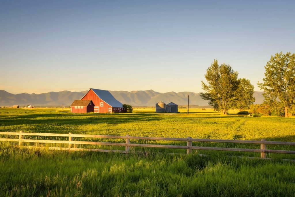 Working Farm