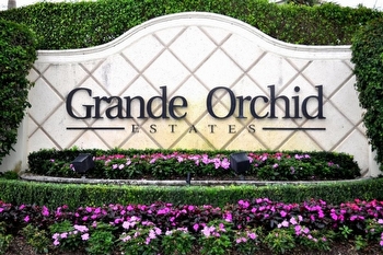 Luxury Partners Orchid Island Market Update
