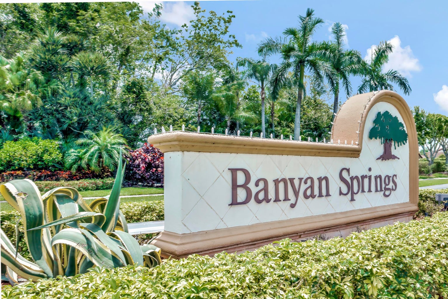 Banyan Springs
