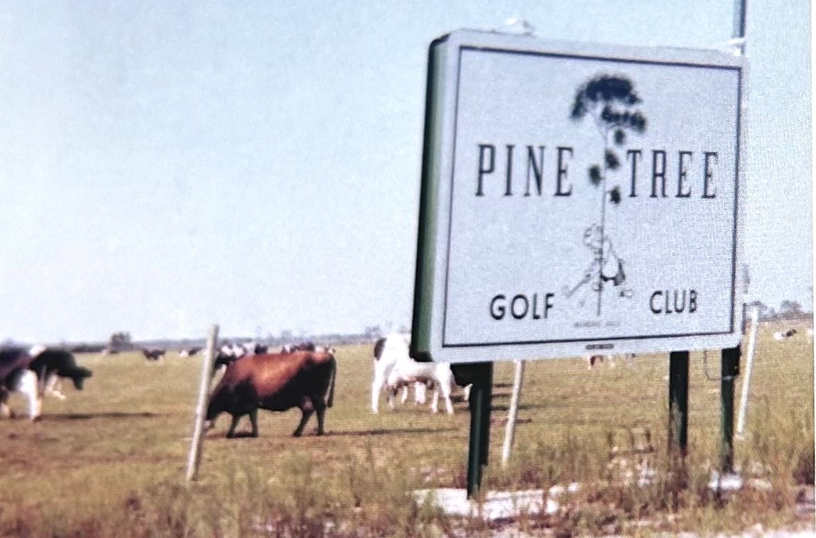 Pine Tree Golf Club