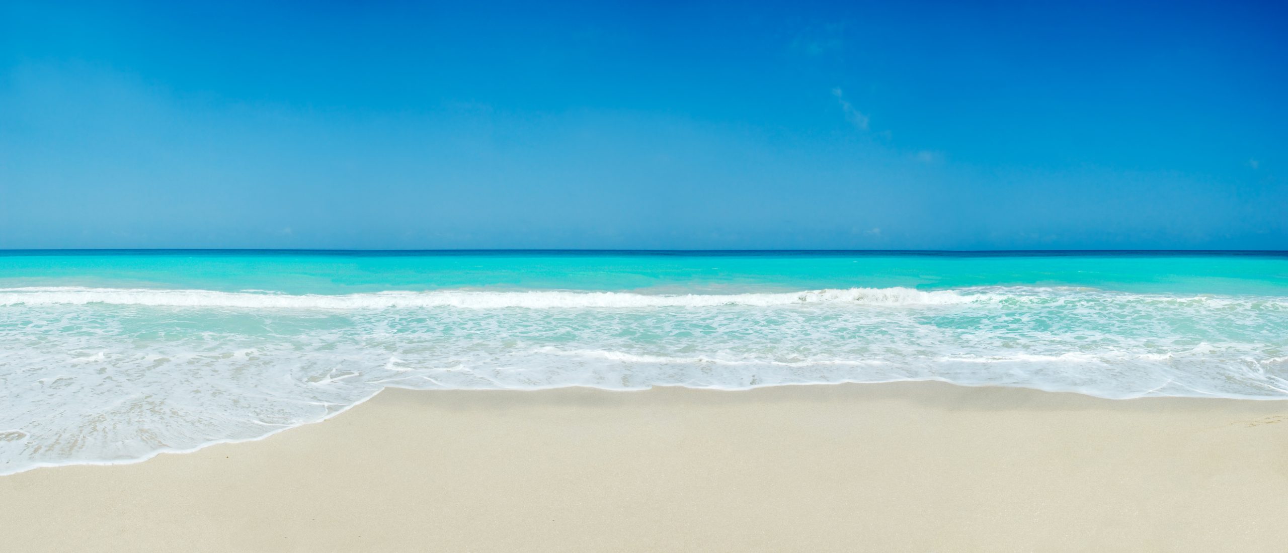 Featured Community Photo