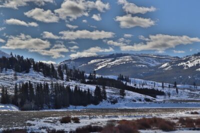 Winter in Lamar Valley A Quiet Season of Yellowstone Magic Featured (1)