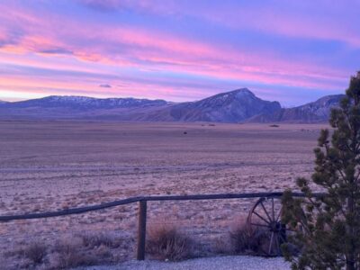 Things to in Cody, Wyoming and Yellowstone Country Featured