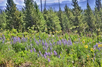 Mountain Adventures 3