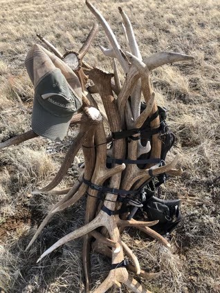 SHED HUNTING